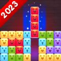 Kawaii Block Puzzle Cute Brick mod apk download  1.4