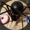 Bug Buster Spider Games apk download for android  1.400