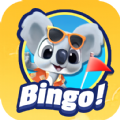 Bingo Dice mod apk unlimited money  1.0.4