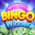 Bingo Winner Real Money apk download for android  1